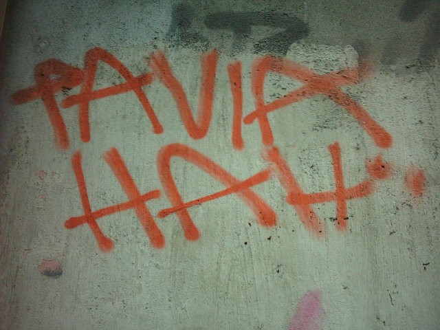 PAVIA HAH